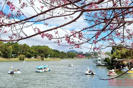 Một góc hồ Xuân Hương, Đà Lạt (Ảnh: BND)