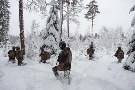 Binh sĩ Pháp tham gia cuộc tập trận tăng cường lực lượng phản ứng nhanh của NATO ở Ba Lan và các quốc gia vùng Baltic, tại Rakvere (Estonia) ngày 5/2. (Ảnh: AFP/TTXVN)