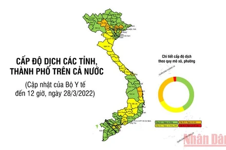 Bản đồ cấp độ dịch Covid-19 cả nước mới nhất theo đánh giá của Bộ Y tế