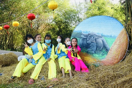 Một góc không gian xanh của Làng du lịch cộng đồng Cẩm Phú-Gò Nổi. (Ảnh: quangnamtourism)