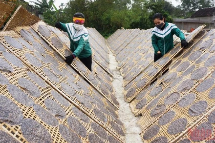 Bánh đa vừng Nguyên Lâm (Kỳ Anh) kế thừa phương thức truyền thống nên giữ được hương vị riêng.