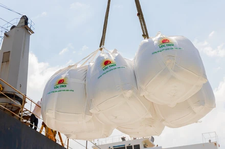 (Ảnh minh họa: Gạo xuất khẩu của Việt Nam)