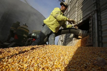 Ảnh minh họa. (Ảnh: Reuters)