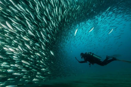 Chiêm ngưỡng các tuyệt tác đoạt giải “Nhiếp ảnh Thiên nhiên Thế giới 2021”