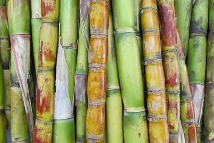 Ảnh minh họa. (Ảnh: Reuters)