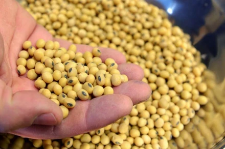 Ảnh minh họa: Reuters