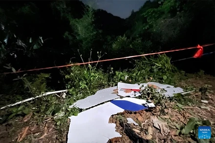 Mảnh vỡ của máy bay được phát hiện tại hiện trường. (Ảnh: Tân Hoa xã)