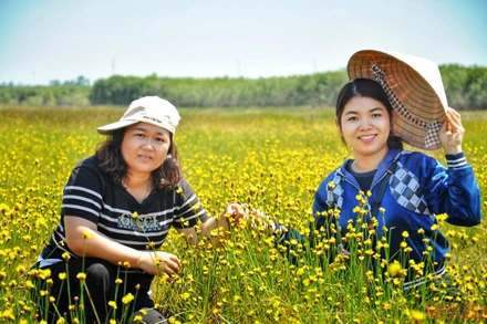 Du khách lại có dịp tham quan loài hoa đặc biệt hoàng đầu ấn.