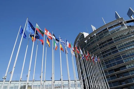 Ảnh minh họa. (Nguồn: AFP/TTXVN)