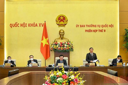 Phó Chủ tịch Quốc hội Nguyễn Khắc Định phát biểu tại phiên họp. (Ảnh Duy Linh)