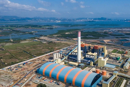 (Ảnh: baotintuc.vn)