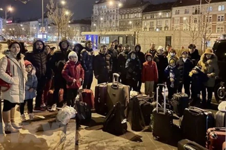 Đại sứ quán, cộng đồng tại Hungary đón, hỗ trợ bà con từ Ukraine. (Ảnh: TTXVN)