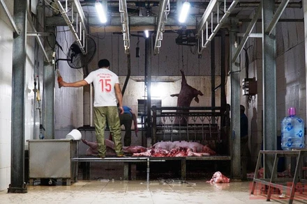 Lò mổ lớn nhất Đà Nẵng bị xử phạt vi phạm xả thải vượt chuẩn.