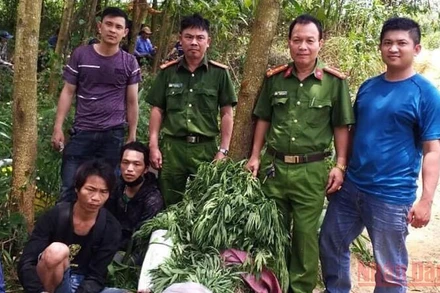 Công an huyện Sông Hinh bắt giữ các đối tượng cùng tang vật.