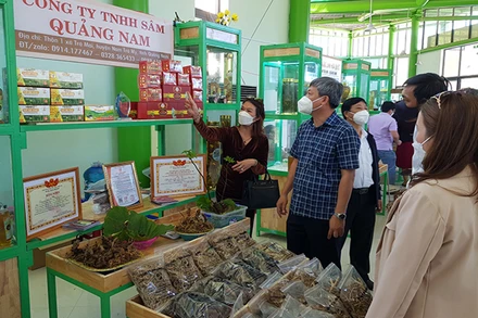 Nhiều doanh nghiệp tham gia giới thiệu, bán các sản phẩm sâm Ngọc Linh.