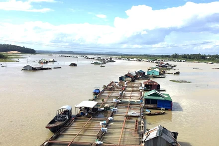 Khu vực nuôi cá bè trên sông La Ngà, tỉnh Đồng Nai.