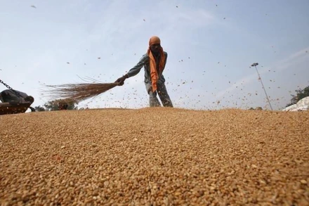  Giá lương thực thế giới tăng đáng kể. (Ảnh minh họa: Reuters/TTXVN)