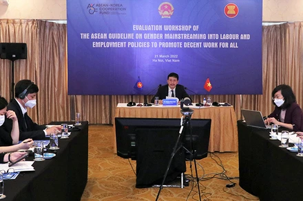 Đại diện Việt Nam dự hội thảo tại đầu cầu Hà Nội (Ảnh: Molisa).