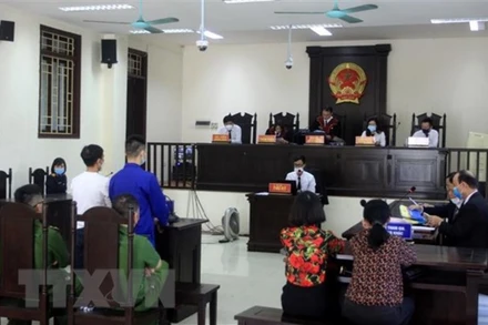 (Ảnh minh họa: TTXVN) 