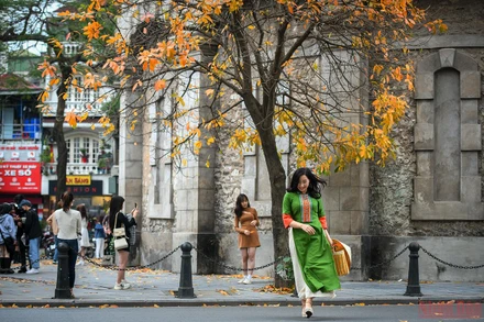 Các chị em không thể bỏ lỡ cơ hội khoác lên mình tà áo dài truyền thống chụp ảnh lưu lại khoảnh khắc tuyệt đẹp Hà Nội mùa thay lá vàng. (Ảnh: THÀNH ĐẠT)