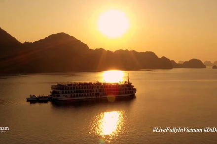 “Việt Nam: Đi Để Yêu! - Trải nghiệm trọn vẹn”