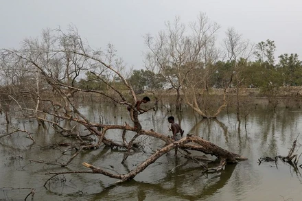 Biến đổi khí hậu đang gây ra những tác động nghiêm trọng trên phạm vi toàn cầu. (Ảnh: Reuters)