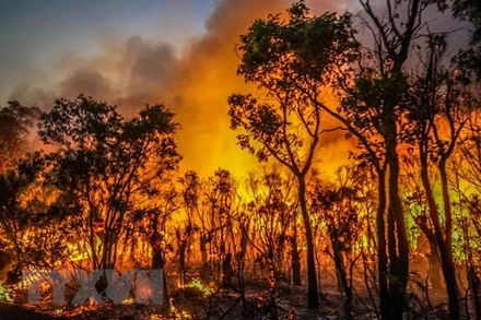 Khói lửa bốc lên tại đám cháy rừng gần sông Margaret, Australia ngày 8/12/2021. (Ảnh: AFP/TTXVN)