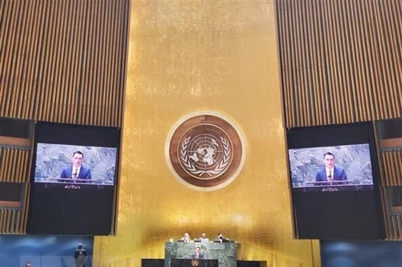 Đại sứ Đặng Hoàng Giang phát biểu tại phiên họp. (Ảnh: Khắc Hiếu/TTXVN)