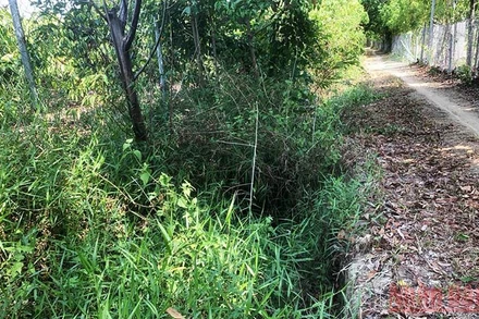 Con đường rộng 4,5 m giờ thành đường mòn vì bị múc làm mương.