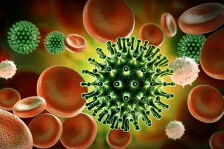 Ảnh minh họa. (Nguồn: who.int)