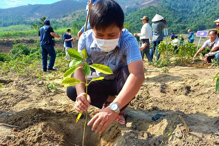 Đại biểu tham gia trồng rừng đầu nguồn sông Gianh (Quảng Bình) bằng cây bản địa.