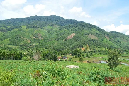 Vùng miền núi huyện Sơn Tây (Quảng Ngãi).