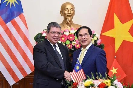 Bộ trưởng Ngoại giao Bùi Thanh Sơn tiếp đón Bộ trưởng Ngoại giao Malaysia. (Ảnh: Báo Thế giới và Việt Nam)