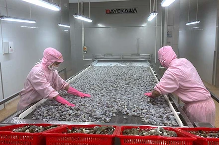 Việc F0, F1 cách ly tại nhà trong thời gian dài gây thiếu hụt lao động tại nhiều doanh nghiệp chế biến thủy sản.