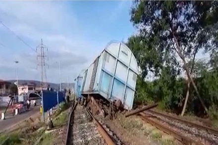 Ảnh minh họa. (Nguồn: zee5.com)