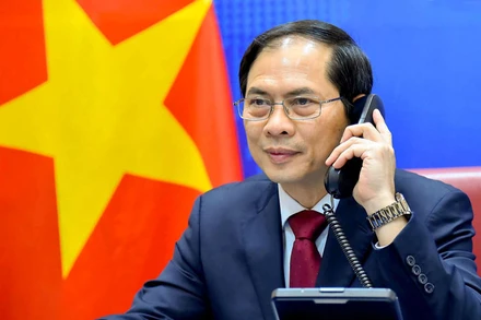 Bộ trưởng Ngoại giao Bùi Thanh Sơn. (Ảnh minh họa: Báo điện tử Chính phủ)