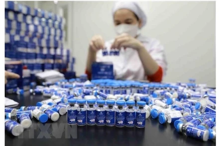 Ảnh minh họa. (Vũ Sinh/TTXVN)