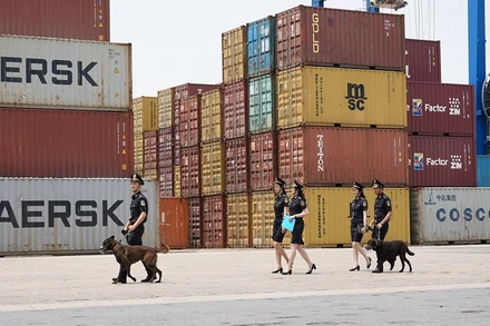 Công chức hải quan Hải Phòng làm nhiệm vụ tại Cảng Lạch Huyện, Hải Phòng.