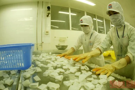 Đồng bằng sông Cửu Long đóng góp khoảng 65% sản lượng thủy sản xuất khẩu cả nước, nhưng hệ thống logistics phục vụ hoạt động này vẫn còn nhiều hạn chế. (Ảnh: Trần Tuấn)