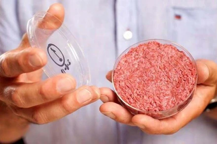 Ảnh minh họa. (Nguồn: AFP/TTXVN)