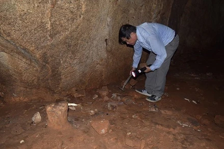 Ảnh minh họa. (Nguồn: TTXVN)