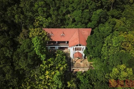 Hiện có 68 trường hợp vi phạm sử dụng đất lâm nghiệp trên khu vực bán đảo Sơn Trà. (Ảnh: Giáp Văn)