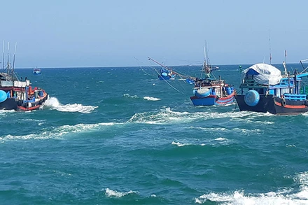 Sau ngày 30/7, Quảng Ngãi sẽ xử lý nghiêm tàu cá chưa lắp thiết bị VMS nhưng vẫn hoạt động. 