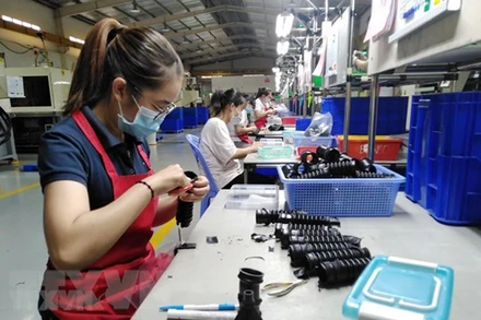 Ảnh minh họa. (Ảnh: Minh Hưng/TTXVN)