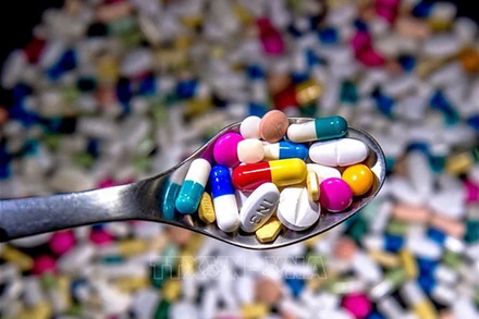 Các nhà khoa học phát hiện nhiều loại vi khuẩn có chứa gene kháng kháng sinh tại Nam Cực. (Ảnh minh họa: AFP/TTXVN)