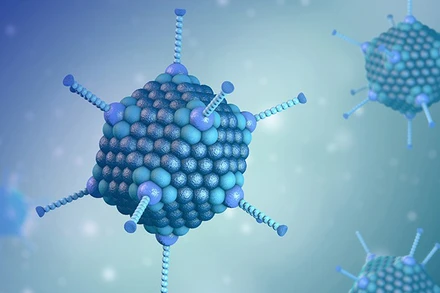 Adenovirus hiện là tác nhân được nghi ngờ gây ra bệnh viêm gan bí ẩn. (Ảnh: Shutterstock)