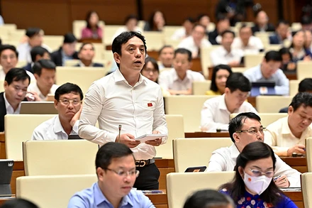 Đại biểu Quốc hội thành phố Hà Nội phát biểu ý kiến thảo luận tại hội trường. (Ảnh ĐĂNG KHOA)