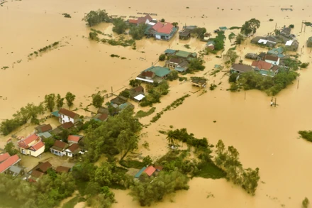 Ảnh minh họa. (Ảnh: VGP)