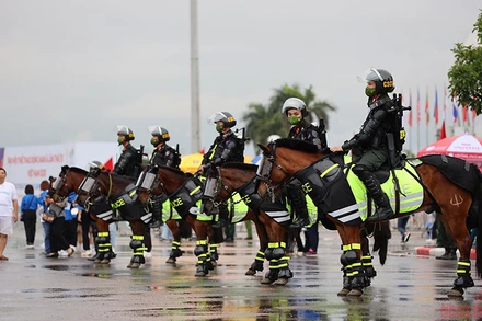 Cận cảnh dàn kỵ binh làm nhiệm vụ tại sân vận động Mỹ Đình