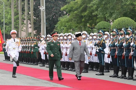  Bộ trưởng Quốc phòng Phan Văn Giang và Ngài Prabowo Subianto, Bộ Quốc phòng Indonesia, duyệt đội danh dự. (Ảnh: TRỌNG ĐỨC)